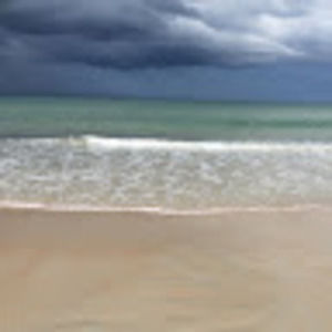 Meet your Posher, Jade